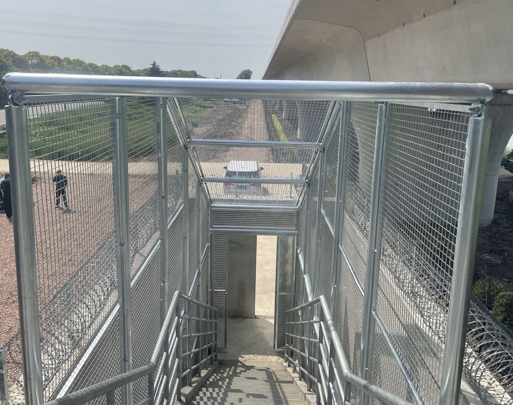 强壮的公次次弄得我高潮A片日本