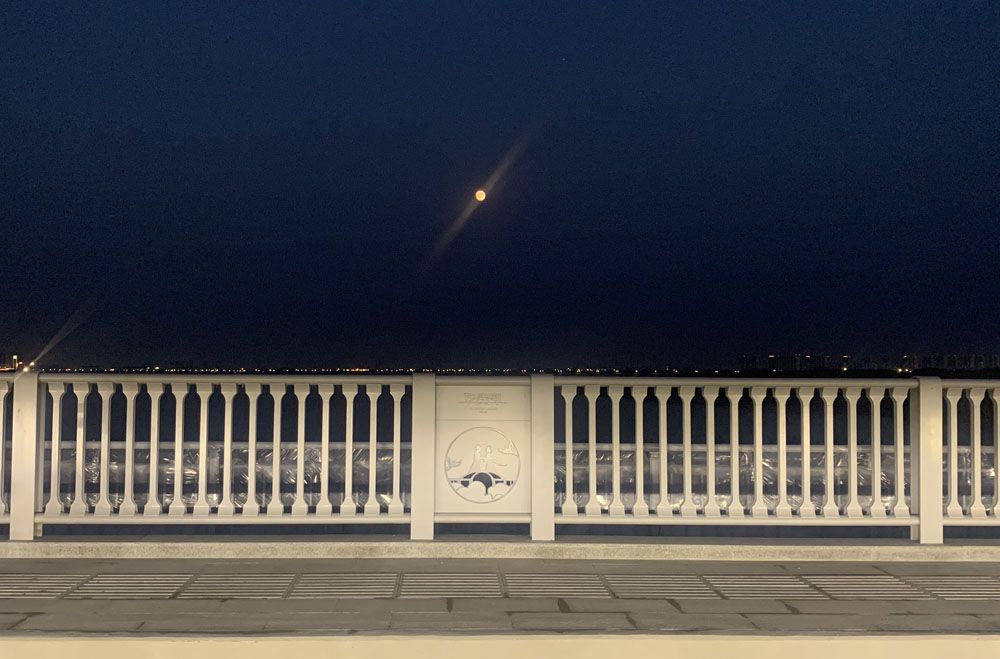 强壮的公次次弄得我高潮A片日本