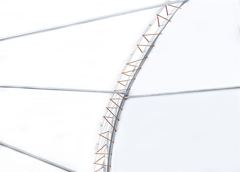 强壮的公次次弄得我高潮A片日本